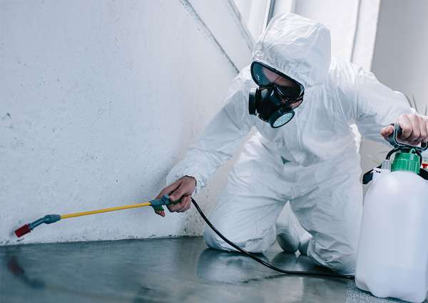 Pest-Control